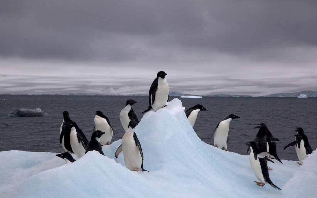 Sounds of Antarctica