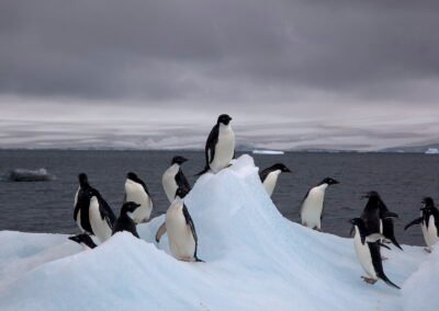 Sounds of Antarctica